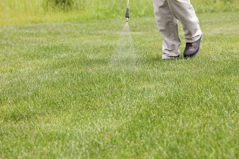 Using the Right Crabgrass Killer to Maintain your Lawn