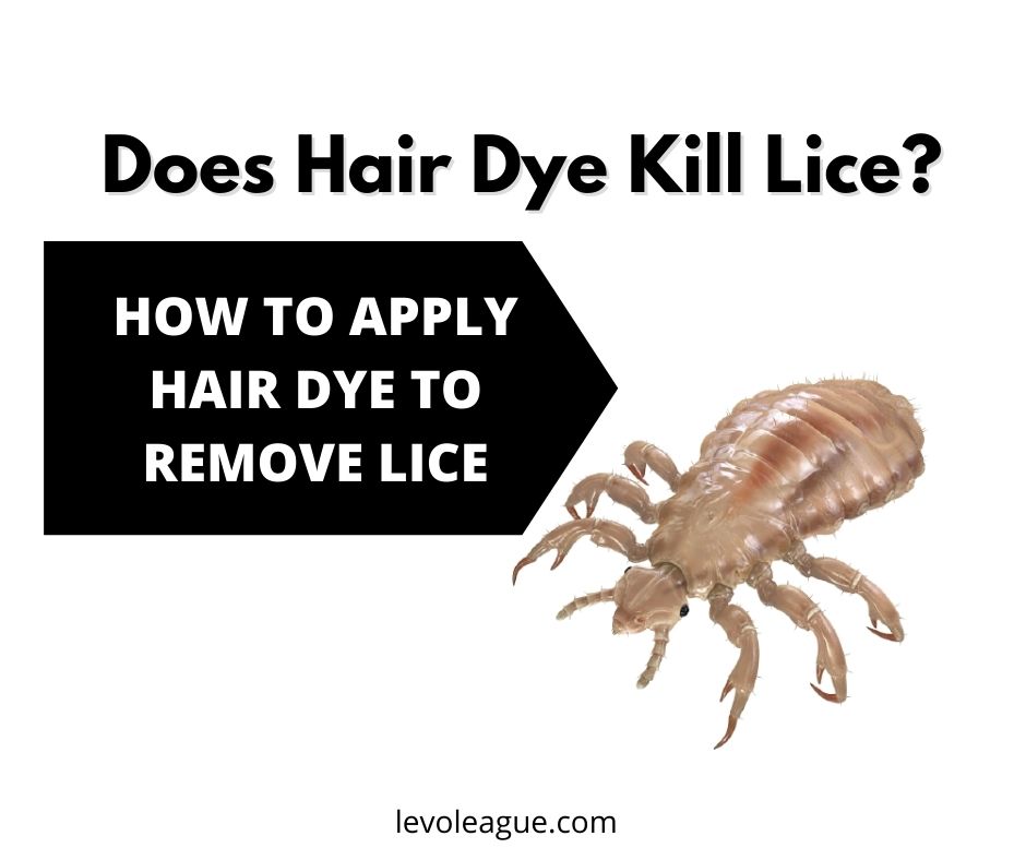 Does Hair Dye Kill Lice? How to Apply Hair Dye to Remove Lice | Levo League