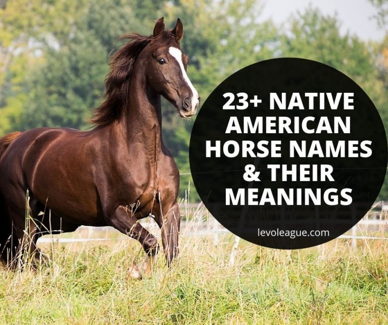 Native American Horse Names