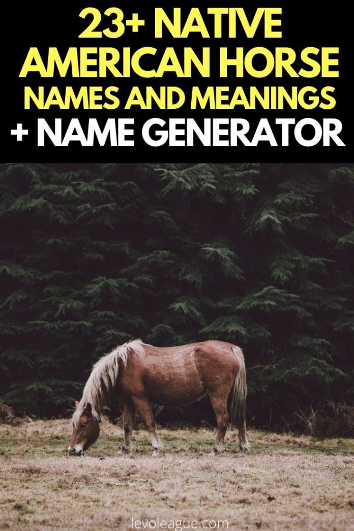 60-native-american-horse-names-with-meanings-the-paws