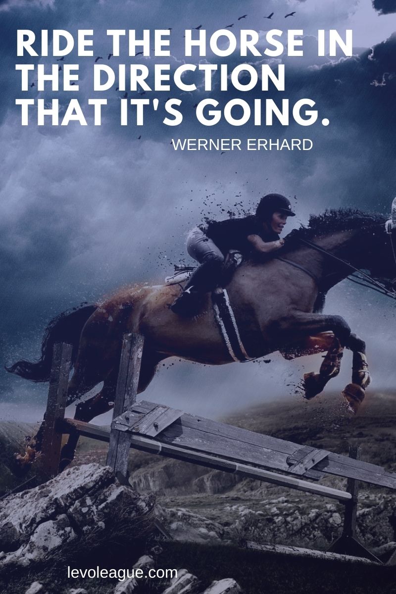 80+ Inspiriational Horse Quotes To Motivate You Levo League