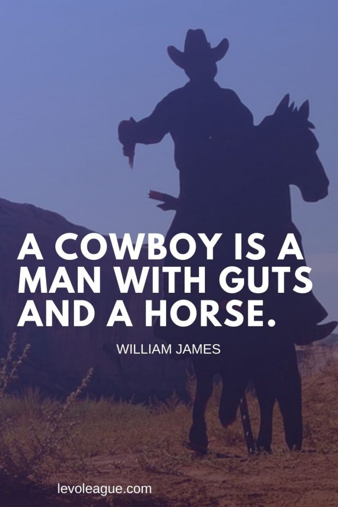 120+ Inspirational Cowboy Quotes and Sayings Levo League