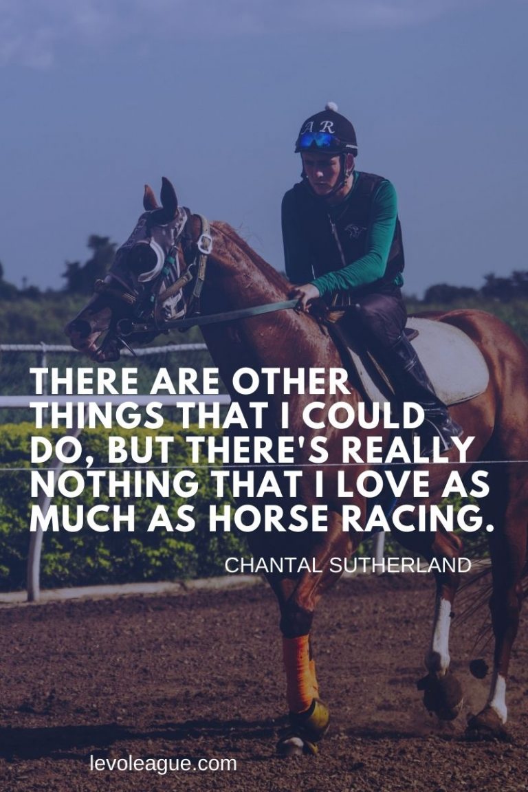 32-inspirational-horse-racing-quotes-and-sayings-levo-league