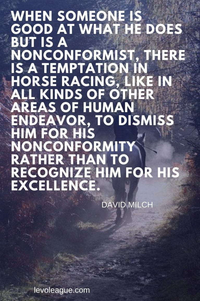 32+ Inspirational Horse Racing Quotes and Sayings Levo League