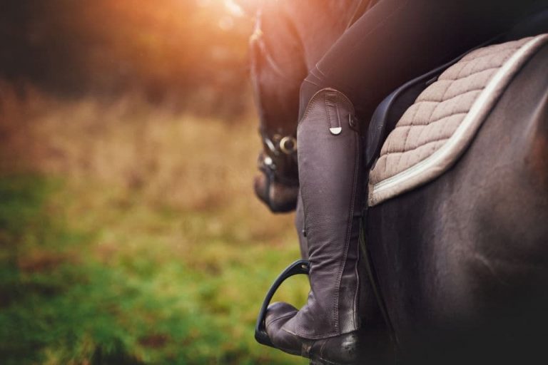 Why Horse Riders Need Quality Boots For Safety