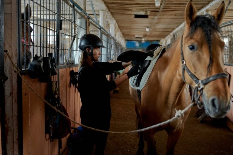 What Are the Costs of Owning a Horse?