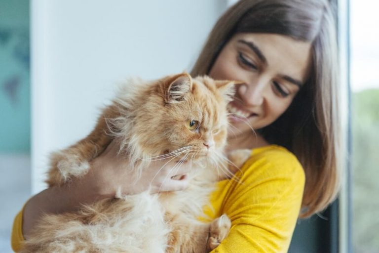 9 Essentials To Buy Before Adopting A Cat