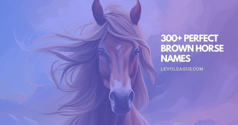 300+ Brown Horse Names | Perfect For Your Equine Companion