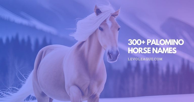 300+ Palomino Horse Names for Males and Mares (With Meanings)