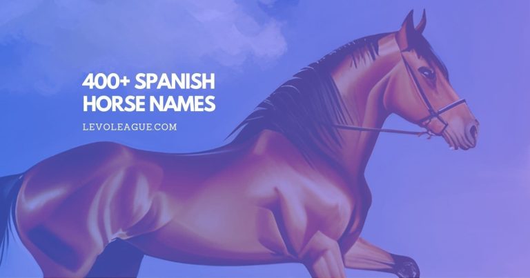 400+ Unique Spanish Horse Names (With Meanings)