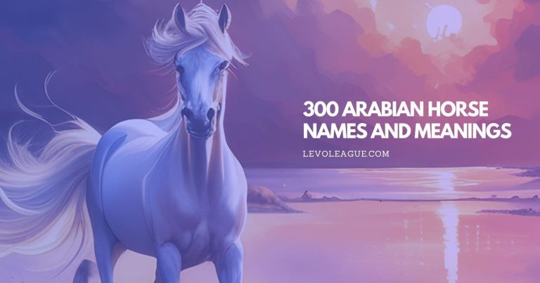 300 Arabian Horse Names and Meanings (Male and Female)