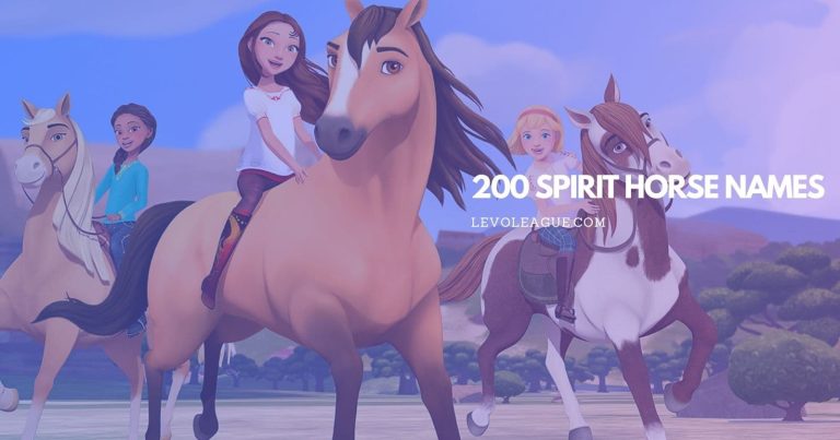 200 Spirit Horse Names To Suit Your New Four-Legged Friend