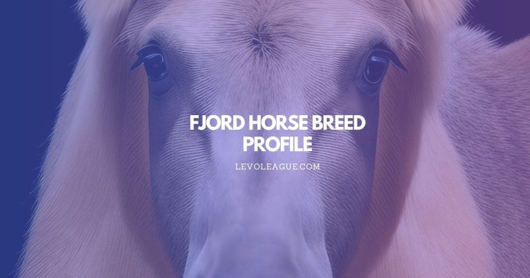 Fjord Horse Breed Profile: Facts, Temperament, Lifespan, and Care