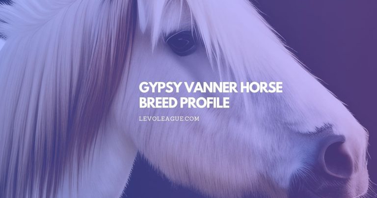 Gypsy Vanner Horse Breed Profile: Facts, Temperament, Lifespan, and Care
