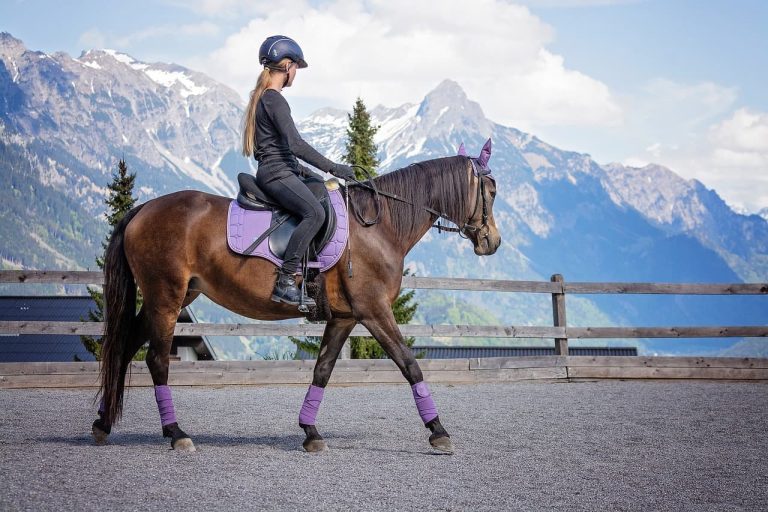 Cultivating Connection with Your Equine Partner: A Guide to Quality Horse Riding Equipment