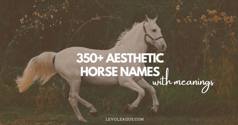 350+ Best Aesthetic Horse Names With Meanings